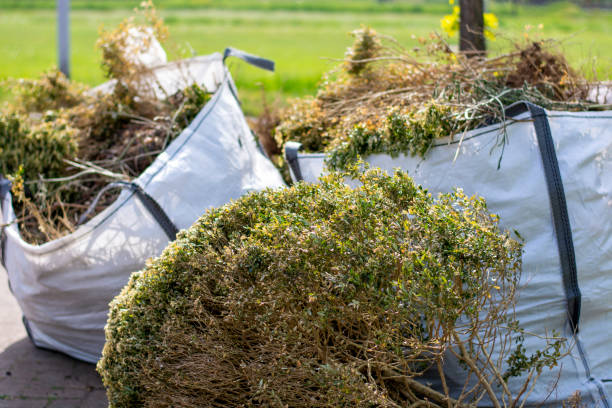 Best Yard Waste Removal  in Maryville, TN