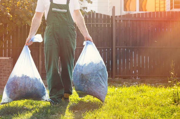 Best Shed Removal  in Maryville, TN